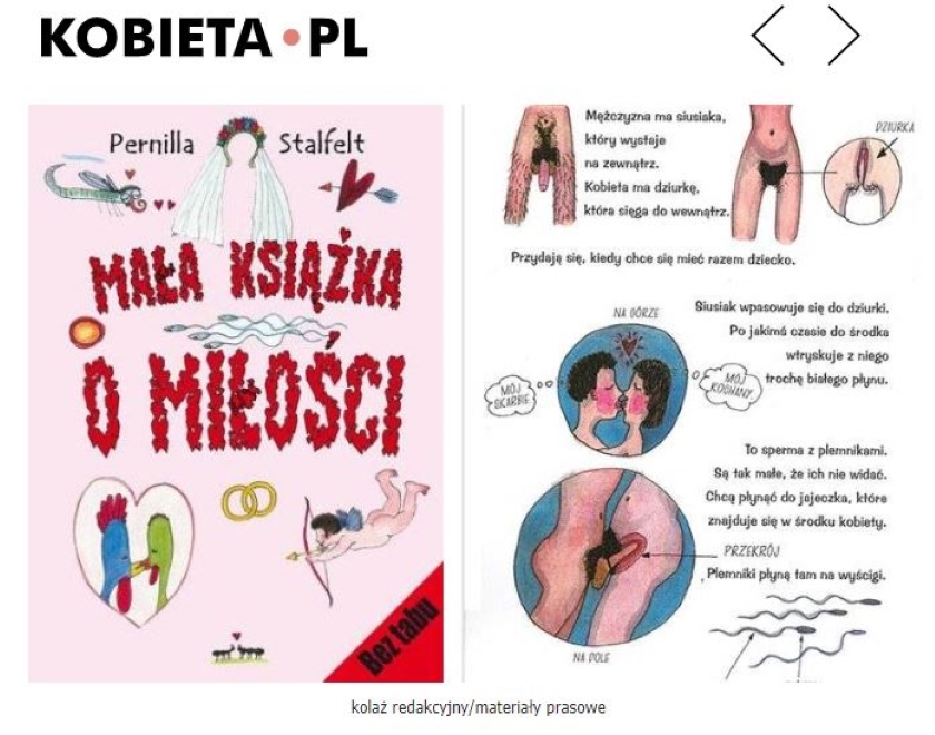 Edukacja seksualna w publikacji Mała książka o miłości