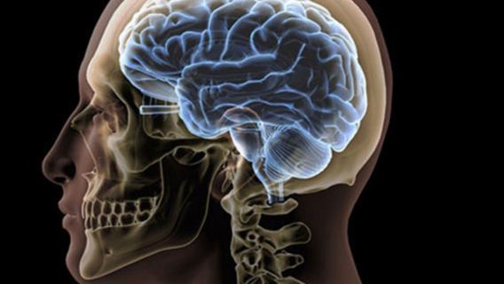 W ilu procentach człowiek wykorzystuje swój mózg? Naukowcy znają odpowiedź