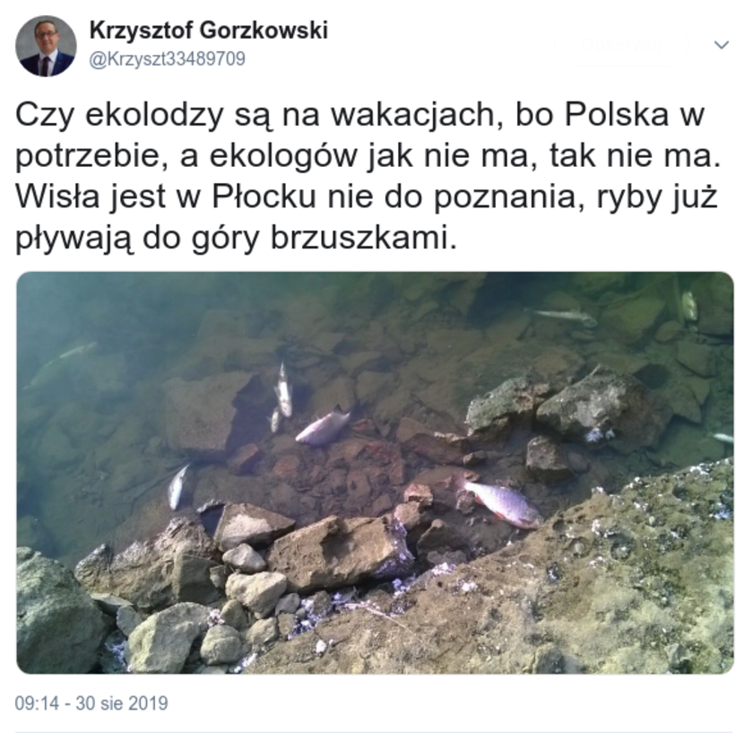 Afera ściekowa Wisła