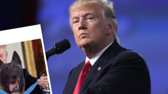Donald Trump udostępnił kontrowersyjny fotomontaż. Bohatera wojennego zastąpiono psem