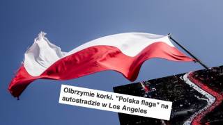 Polska flaga USA