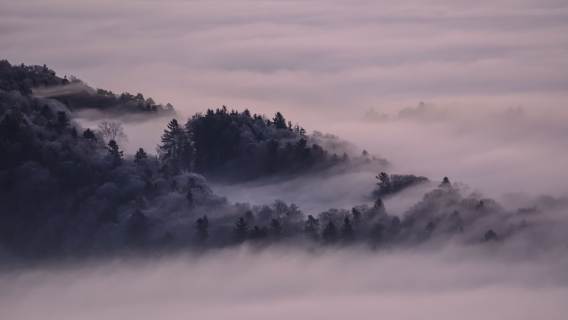 Pogoda mgła smog