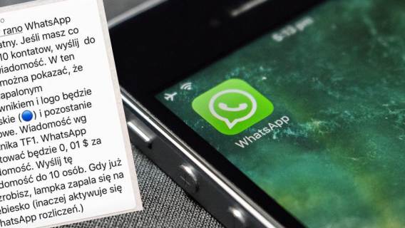 'Od soboty WhatsApp będzie płatny'. Łańcuszek oszukał użytkowników aplikacji