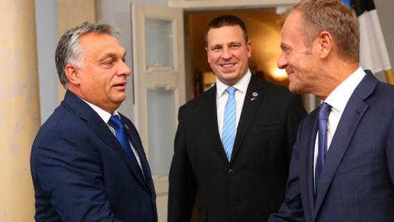 Donald Tusk dziadek