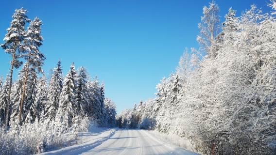 Koronawirusa nie zwalczy ani bardzo wysoka, ani niska temperatura. Naukowcy zwalczają kolejny mit