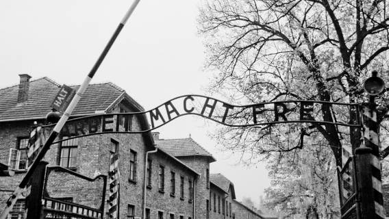 Auschwitz-Birkenau